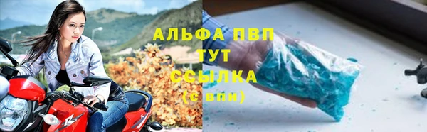 стафф Верхний Тагил